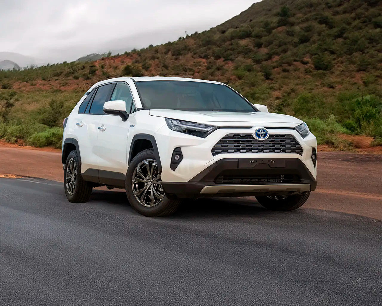 💎Griglia radiatore adatto per Toyota RAV4 2019💎