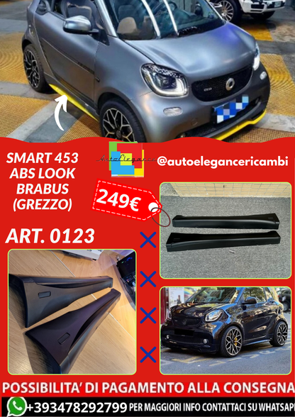 ART. 0123 MINIGONNE SMART 453 ABS LOOK BRABUS (GREZZE)