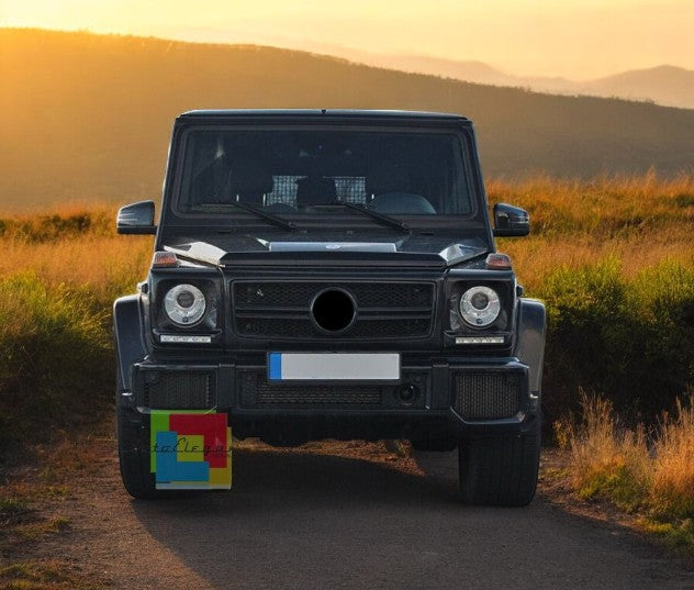 🤩Griglia Calandra per Mercedes Classe G W463 02-17 G63 GT-R Panamericana🤩