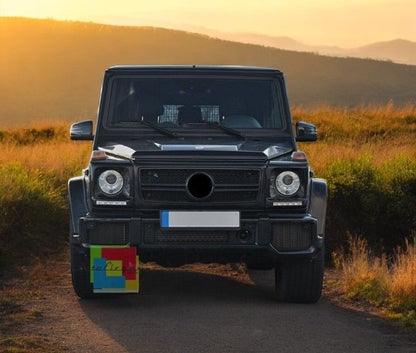 🤩Griglia Calandra per Mercedes Classe G W463 02-17 G63 GT-R Panamericana🤩