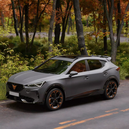 ⭐SPOILER ADATTO PER Cupra Formentor Aileron Becquet 2020 2021 2022 2023 2024⭐