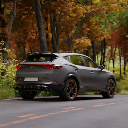 ⭐SPOILER ADATTO PER Cupra Formentor Aileron Becquet 2020 2021 2022 2023 2024⭐