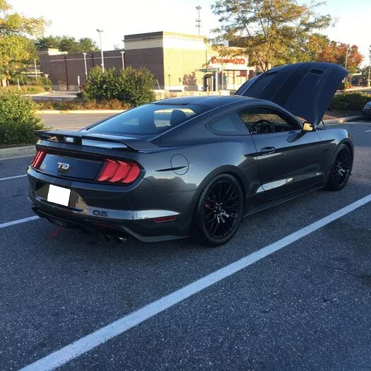 🔥Diffusore terminale di scaric Adatto Per Ford Mustang 18-20 GT EcoBoost GT50🔥