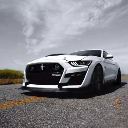 🔥PARAURTI ANTERIORE  ADATTO PER Ford Mustang 15-17 GT EcoBoost V6 GT500🔥