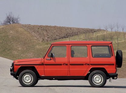 🔥SET MODANATURE LATERALI MERCEDES CLASSE G G WAGON W460 W461 PER 5 PORTE🔥