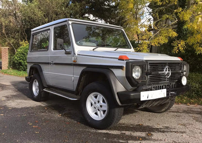 🔥SET MODANATURE LATERALI PER MERCEDES CLASSE G G WAGON W460 W461 PER 3 PORTE🔥
