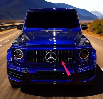 ✨Griglia Calandra per Mercedes Classe G W463 02-17 G63 GT-R Panamericana✨