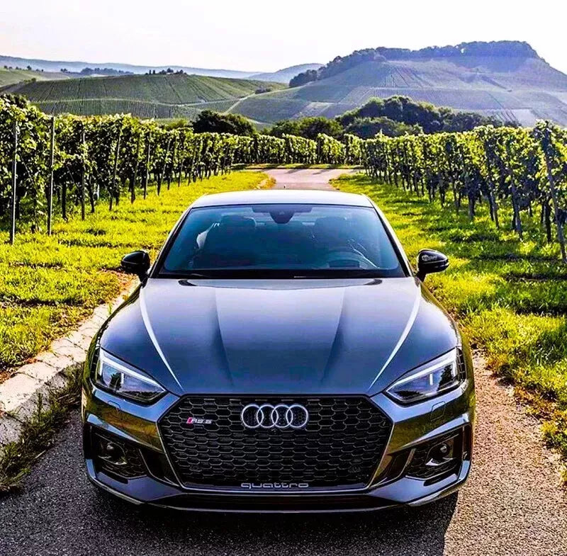 ✨Griglia anteriore Audi RS5 Style A5 S5 B9,griglia a nido d'ape nera lucida 17+✨