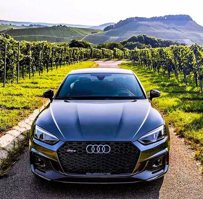 ✨Griglia anteriore Audi RS5 Style A5 S5 B9,griglia a nido d'ape nera lucida 17+✨