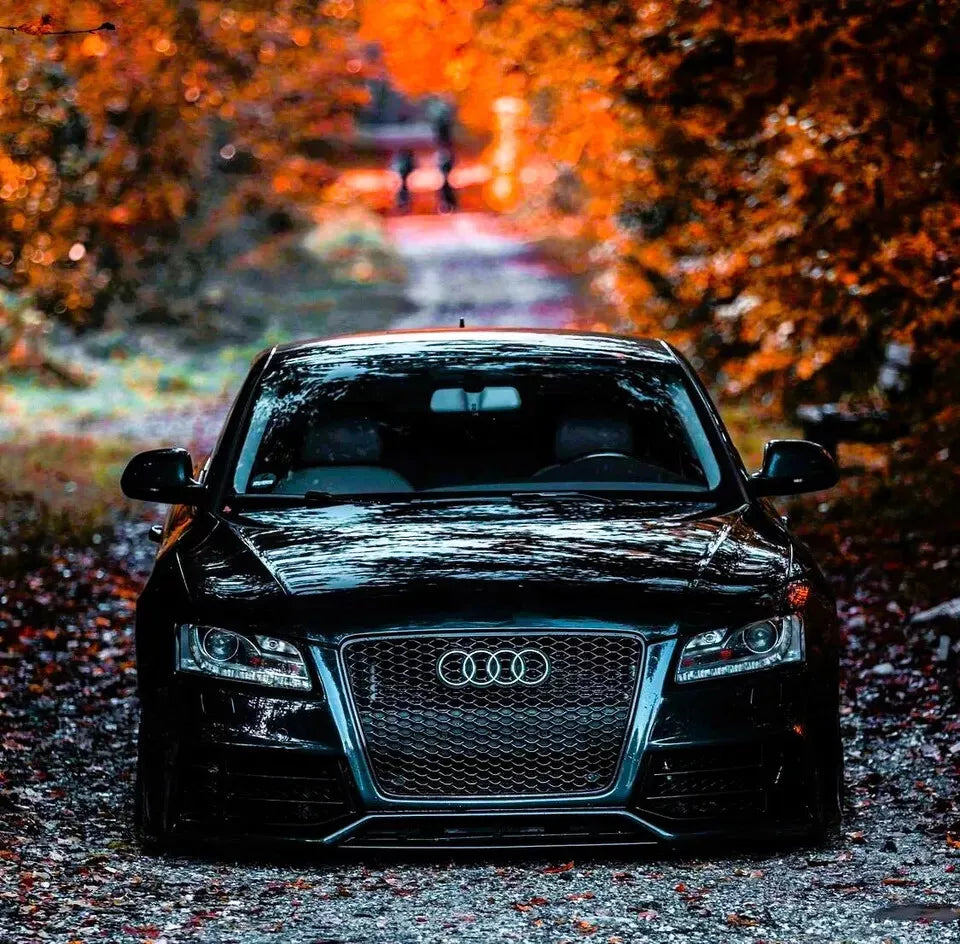 ✨Griglia anteriore Audi RS5 Style A5 S5 B8, griglia a nido nera lucida 08-12✨