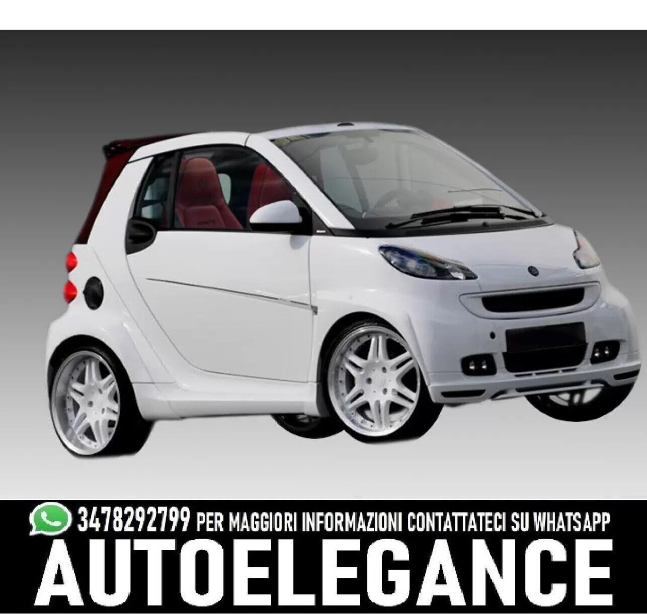 Small Front Spoiler Smart Fortwo 451 