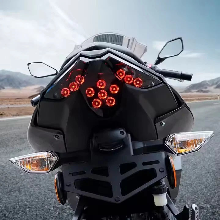🔥Fanale Posteriore LED Fumè – Kawasaki Ninja 500 / Z500 (2024–2025)🔥