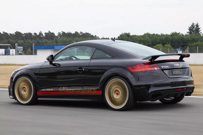 ⭐SPOILER ADATTO PER AUDI TT 8J  RS⭐