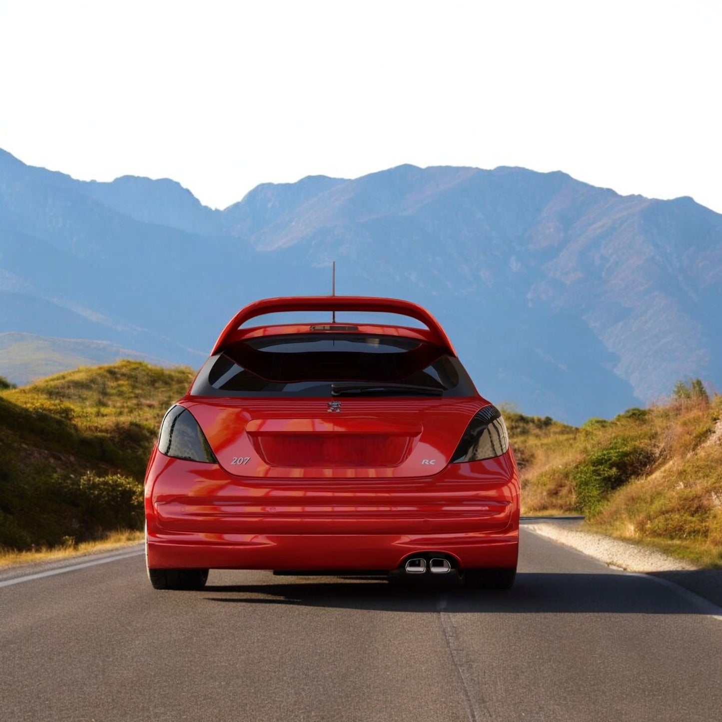 ❤️‍🔥SPOILER ADATTO PER PEUGEOT 207( 2006-2012 )❤️‍🔥