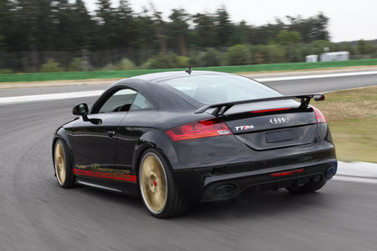 ⭐SPOILER ADATTO PER AUDI TT 8J  RS⭐