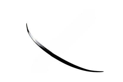 SPOILER adatta per VW PASSAT CC 2008-2016