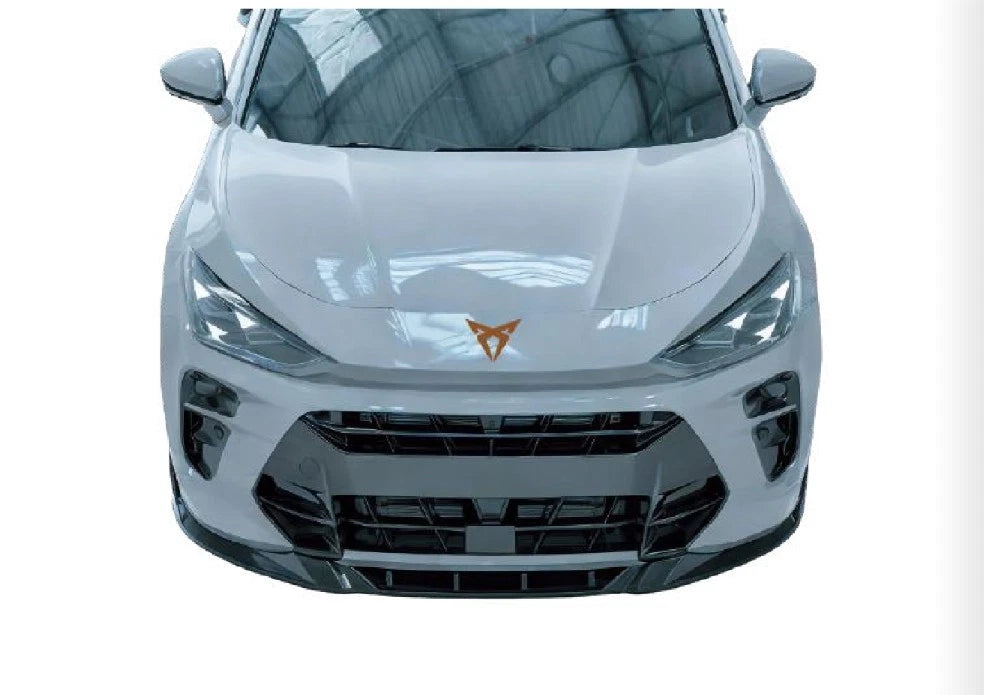 💫Splitter Anteriore per CUPRA Terramar (2024+) – Nero Lucido💫
