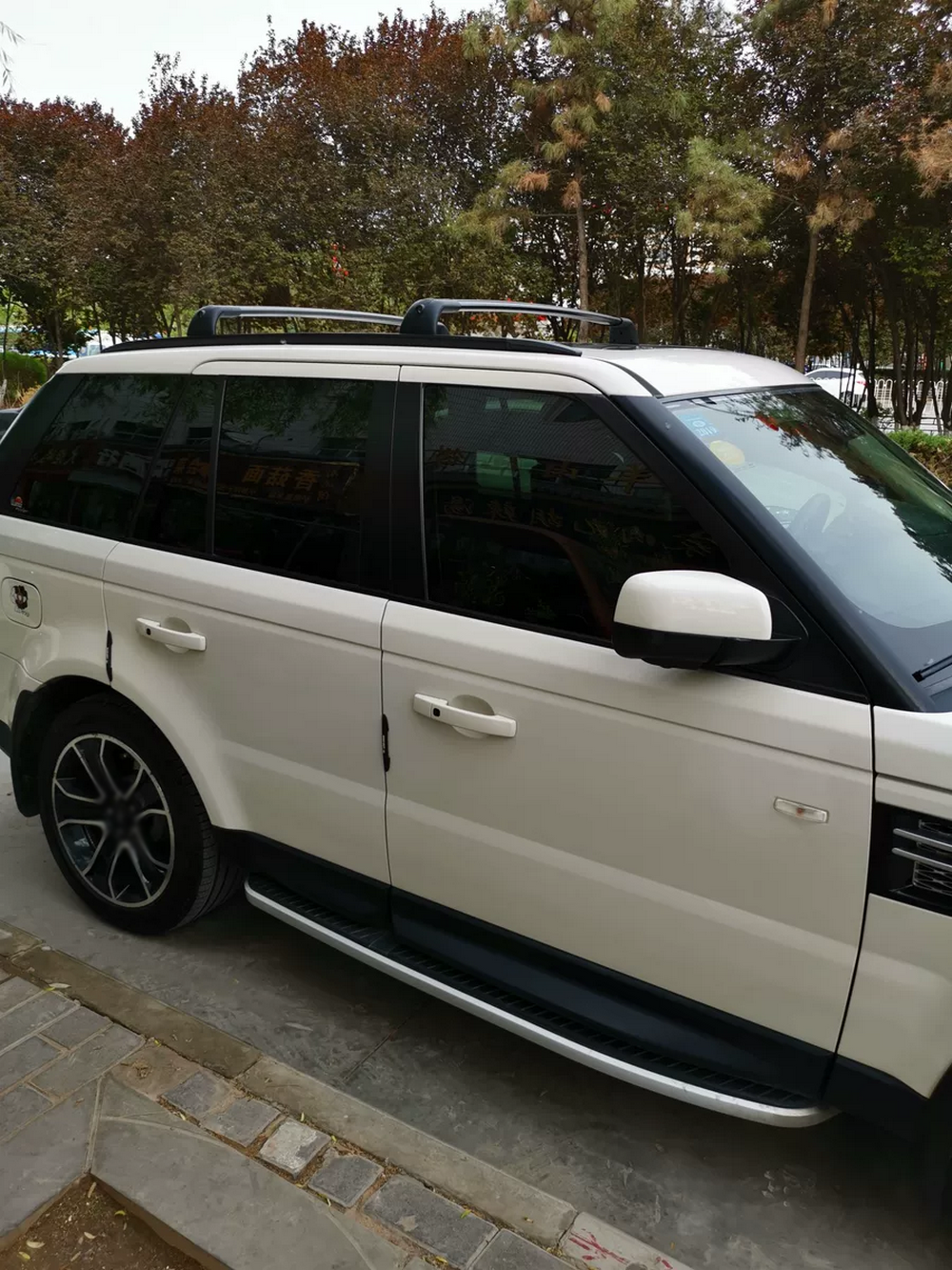 💫ART.7074 Pedane Laterali in Alluminio per Range Rover Sport (L320) 2006-2012💫