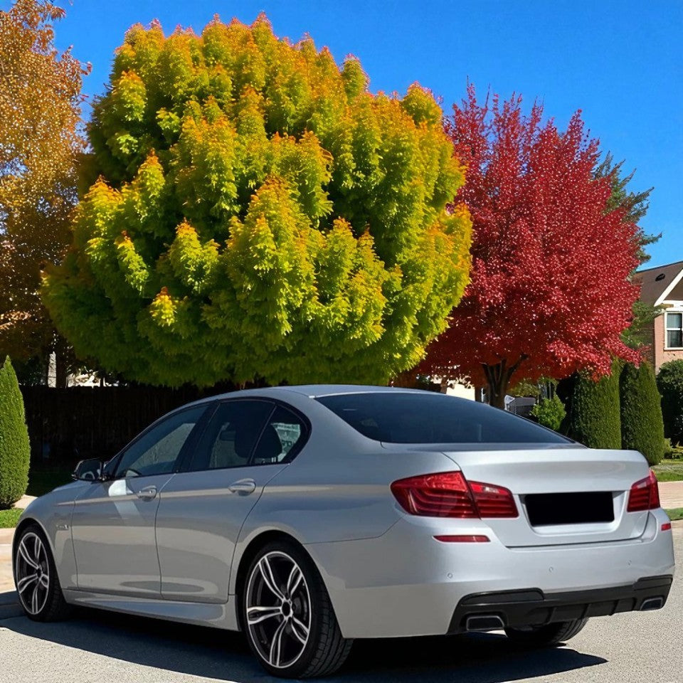 💫Convertitore di Scarico V8 Lucido + Terminale Duplex –Adatto per BMW Serie 5💫