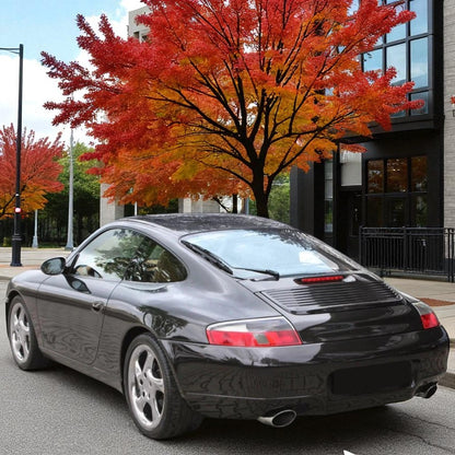 💫Terminali di Scarico Inox Ovali 115x85 mm per Porsche 911 996 💫