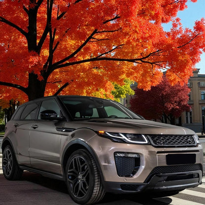 💫 Calandra Performance Nero/Argento per Range Rover Evoque L551 dal 2019💫
