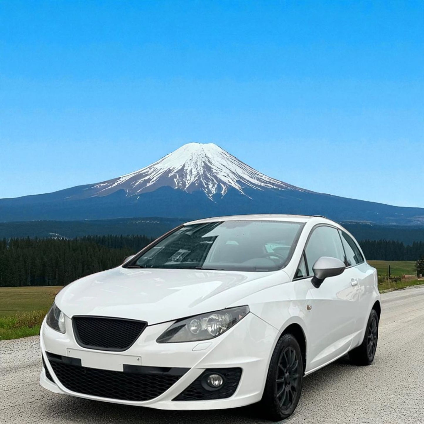 💫Griglia Sportiva a Nido d'Ape Nero Senza Stemma per Seat Ibiza 6J  💫