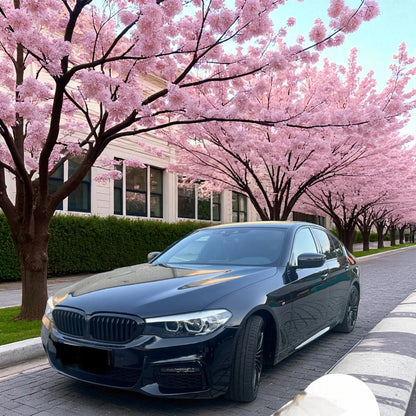 💫 Downpipe con Catalizzatore Sportivo + Protezione Termica per BMW Serie 5 💫