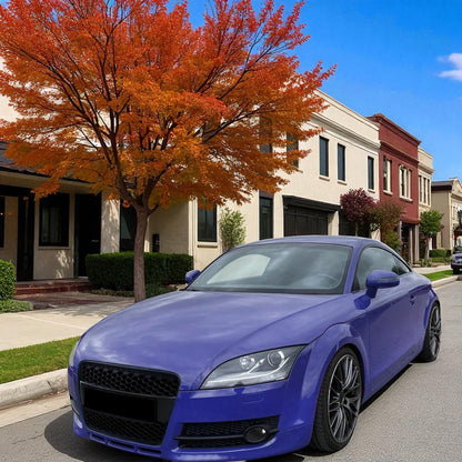 💫Griglia a Nido d’Ape Nero Lucido Senza Emblema per Audi TT 8J Pre-Facelift 💫