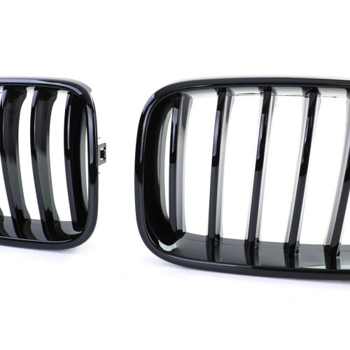 Griglia radiatore sportiva Performance Black Gloss adatta per BMW X3 F25 X4 F26 dal 14