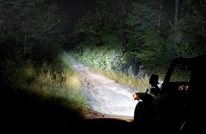 LAMPADE FENDINEBBIA ISTANTANEO A LED LAND ROVER DISCOVERY 4 CANBUS 6000K BIANCO