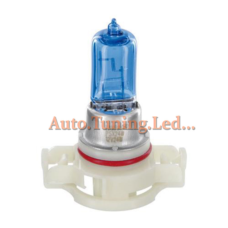 MINI COUNTRYMAN COPPIA LAMPADE BLU XENON BIANCO PSX24W FENDINEBBIA