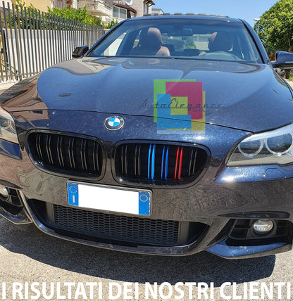 BMW 5 SERIES F10 F11 2010+ DOUBLE STRIPE GRILLES FRONT GRILLES 3 COLORS M