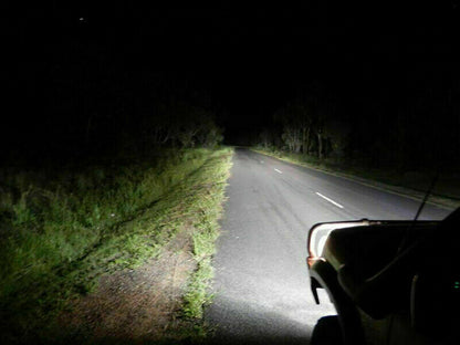 LANCIA MUSA CON LENTICOLARE LAMPADE ANABBAGLIANTI LED 16.000LUMEN CAMBUS 0032