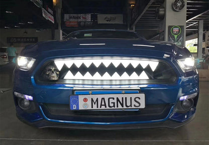 MASCHERINA FORD MUSTANG 2015-2017 GRIGLIA ANTERIORE NERA CON LED