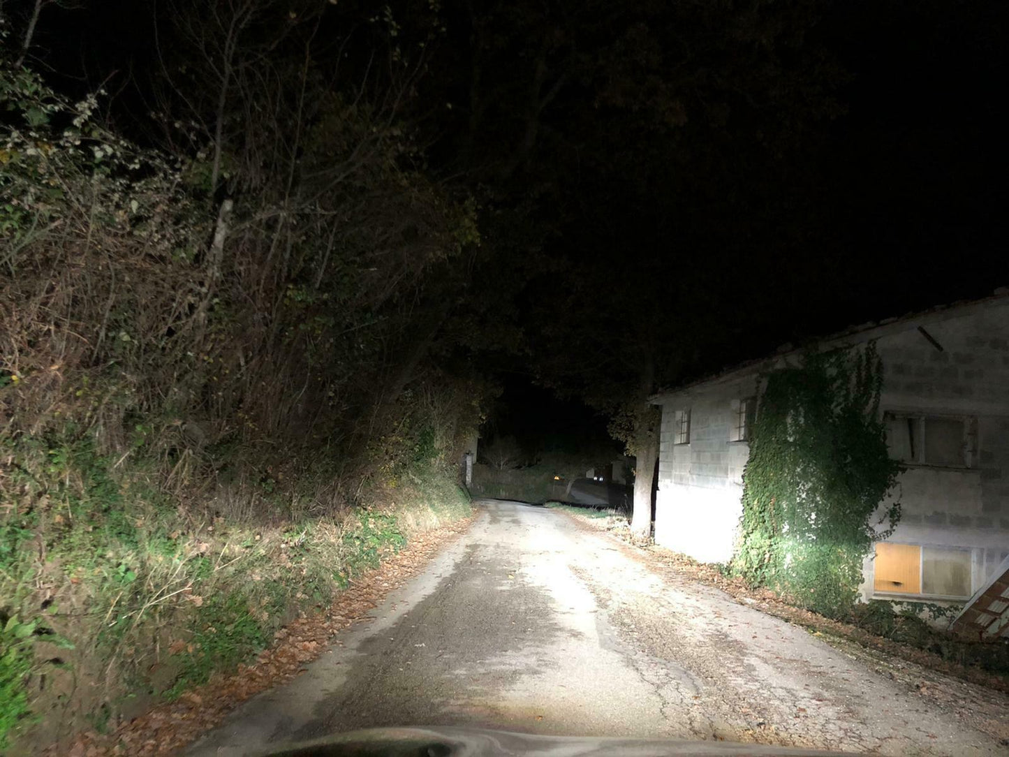 AUDI A4 B9 COPPIA LAMPADE LED D5S 6000K 12.000LUMEN BIXENON AUTOELEGANCERICAMBI