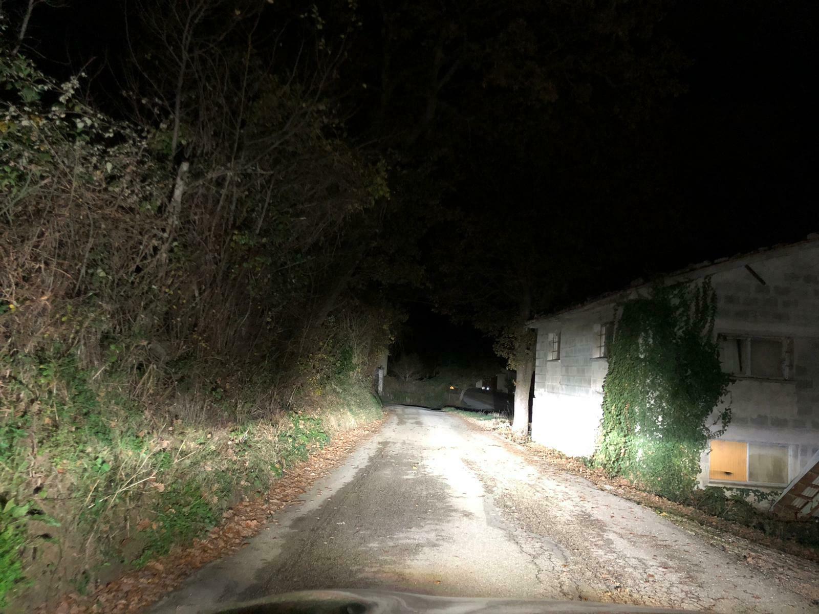 AUDI A4 B9 COPPIA LAMPADE LED D5S 6000K 12.000LUMEN BIXENON AUTOELEGANCERICAMBI