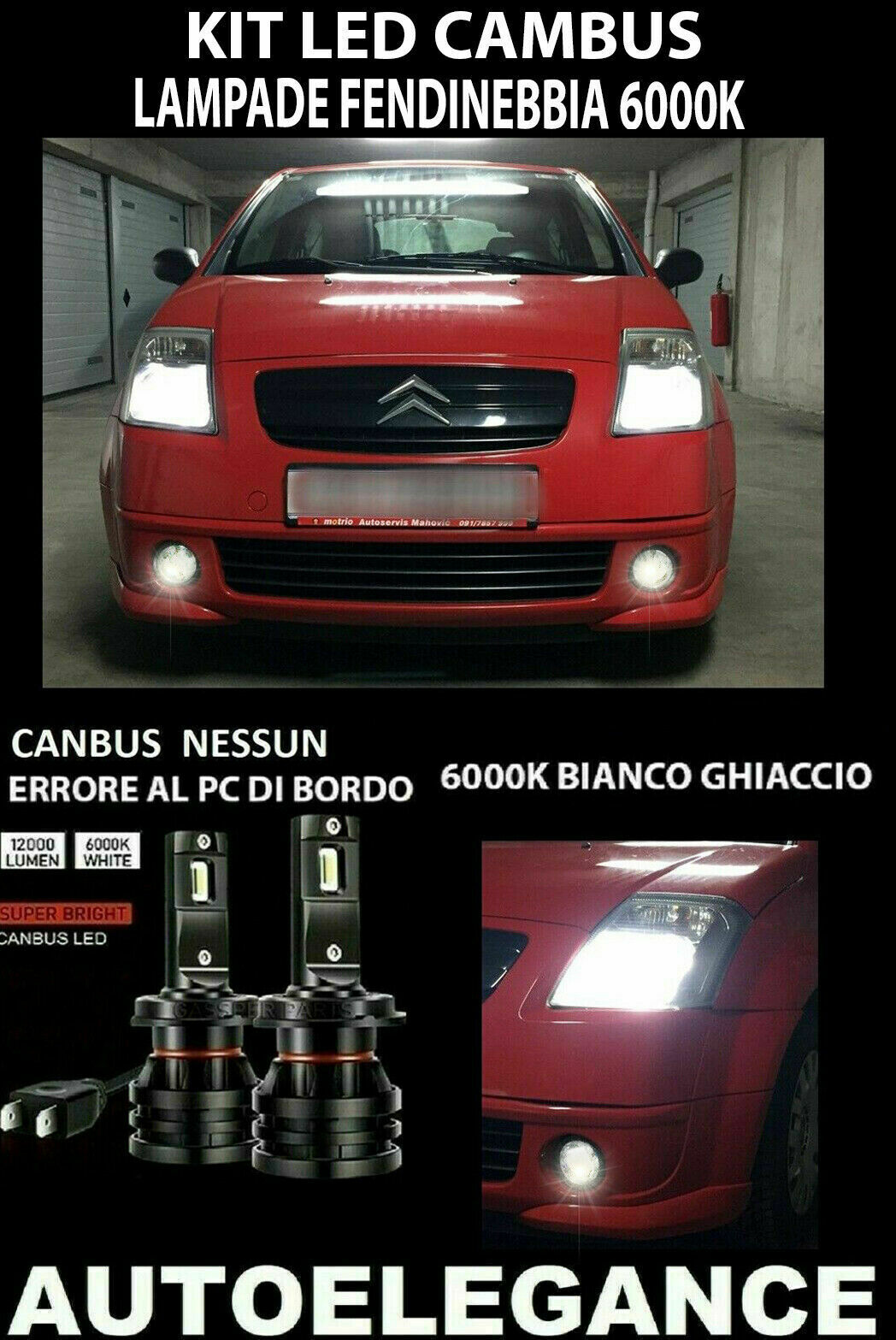 CITROEN C2 LAMPADE FENDINEBBIA LED 10.000LM CAMBUS 0032 AUTOELEGANCERICAMBI